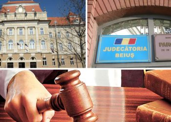 Restituirea cauzei la Parchet pentru neasigurarea dreptului avocatului de a consulta dosarul | Încălcarea dreptului la apărare