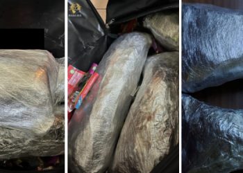 Flagrant delict cu droguri, în Salonta | Un bihorean și doi sătmăreni, prinși în timp ce transportau peste 4 kilograme de cannabis adus ilegal din străinătate