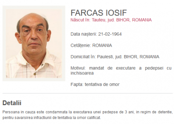 Condamnat în cazul unei bătăi cu furci și topoare de acum 10 ani, un bihorean a fost prins după ce a fost dat în urmărire | A fost la un pas să ucidă un consătean