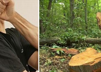 Pădurarul din Brusturi care l-a atacat cu spray lacrimogen și l-a bătut pe un locanic care reclamase tăieri ilegale a fost condamnat la 200 de zile-amendă