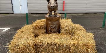 ”D’ale porcului”, ediția a VIII-a | Programul complet