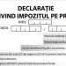 Declarația 101 pentru evidențierea reducerii impozitului pe profit va fi modificată | Cum va arăta noul formular