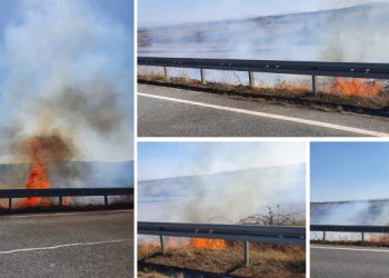 VIDEO-FOTO. Flăcări înalte de câțiva metri la marginea unui drum de la limita dintre Bihor și Sălaj | Un incendiu de vegetație pune în pericol traficul auto