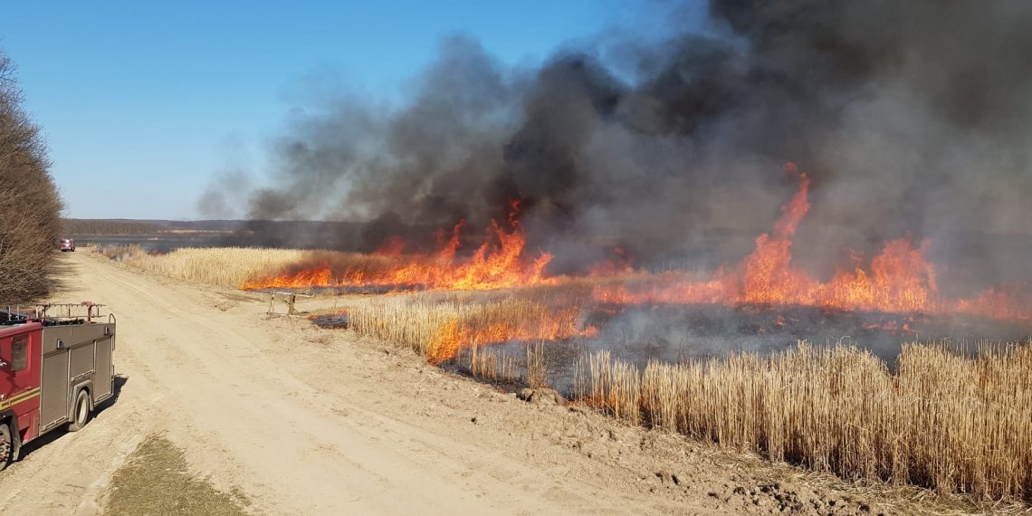 Cadavrul carbonizat al unui bărbat, găsit pe un câmp din Bihor | 10 hectare au fost cuprinse de un incendiu de vegetație uscată