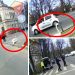 FOTO | Circulație oprită într-o intersecție din Oradea pentru a ajuta o lebădă să… traverseze strada