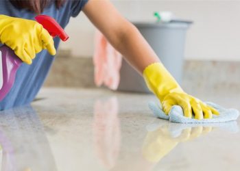 Zilierii, bonele, îngrijitorii ori servitorii vor fi plătiți cu tichete de 15 lei și vor putea primi pensie | Proiect de lege, adoptat de Guvern