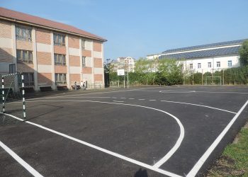 Legea care ar fi permis accesul gratuit al copiilor pe bazele sportive ale școlilor și după ore a fost declarată neconstituțională