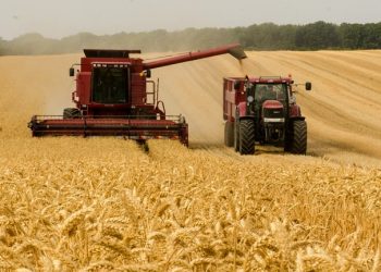 Rural Invest 2022 | Pentru ce investiții primesc bani fermierii români