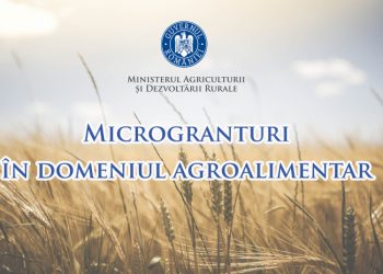 Încep înscrierile pentru microgranturile de 5.000 de euro acordate în domeniul agro-alimentar