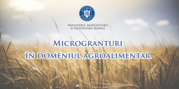 Încep înscrierile pentru microgranturile de 5.000 de euro acordate în domeniul agro-alimentar