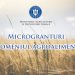 Încep înscrierile pentru microgranturile de 5.000 de euro acordate în domeniul agro-alimentar