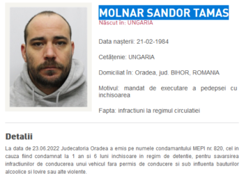 Cetățean maghiar stabilit în Oradea, dat în urmărire după ce, băut și fără permis, l-a trântit la pământ pe agentul care încerca să-l oprească | A fost condamnat la închisoare cu executare