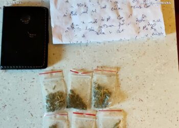 VIDEO. Percheziții în Penitenciarul Oradea și în alte 9 închisori din țară | Deținuții primeau scrisori impregnate cu droguri