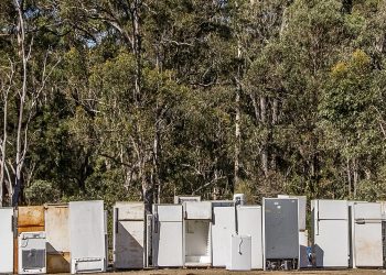 Rabla pentru electrocasnice începe pe 17 iunie | Ce valoare au tichetele si ce electrocasnice pot fi achiziționate