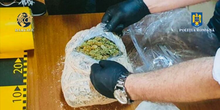 Droguri prin curier | Prinși în flagrant delict în timp ce ridicau un colet cu canabis și metadonă