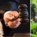 Despre modul în care unii (judecători) își bat joc de viețile altora (justițiabili), din pix
