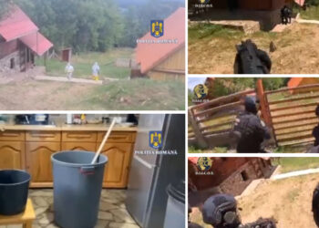 VIDEO. Primul laborator de extragere secundară a cocainei din România, descoperit într-o cabană din Bihor | Un grup de traficanți a adus în România 6 kilograme de cocaină