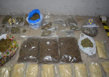 FOTO. Peste 32 de kilograme de droguri, descoperite de polițiștii BCCO Oradea, împreună cu procurorii DIICOT | Trei suspecți au fost prinși în flagrant delict într-o parcare