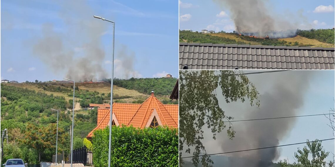 Incendiu masiv pe dealurile Oradei | Peste 30 de pompieri luptă cu flăcările