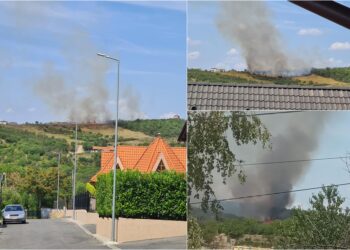 Incendiu masiv pe dealurile Oradei | Peste 30 de pompieri luptă cu flăcările