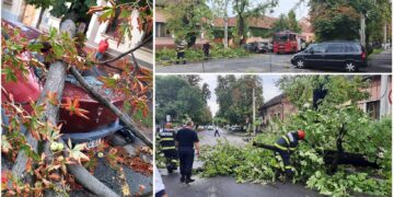 FOTO. O furtună scurtă a făcut pagube în Bihor: copaci căzuți, beciuri inundate, cabluri de curent rupte și o mașină avariată