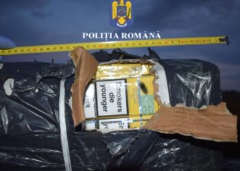 Peste 1.000.000 de țigări de contrabandă, găsite în trei mașini, pe un drum din Satu Mare | Au fost făcute percheziții și în Bihor