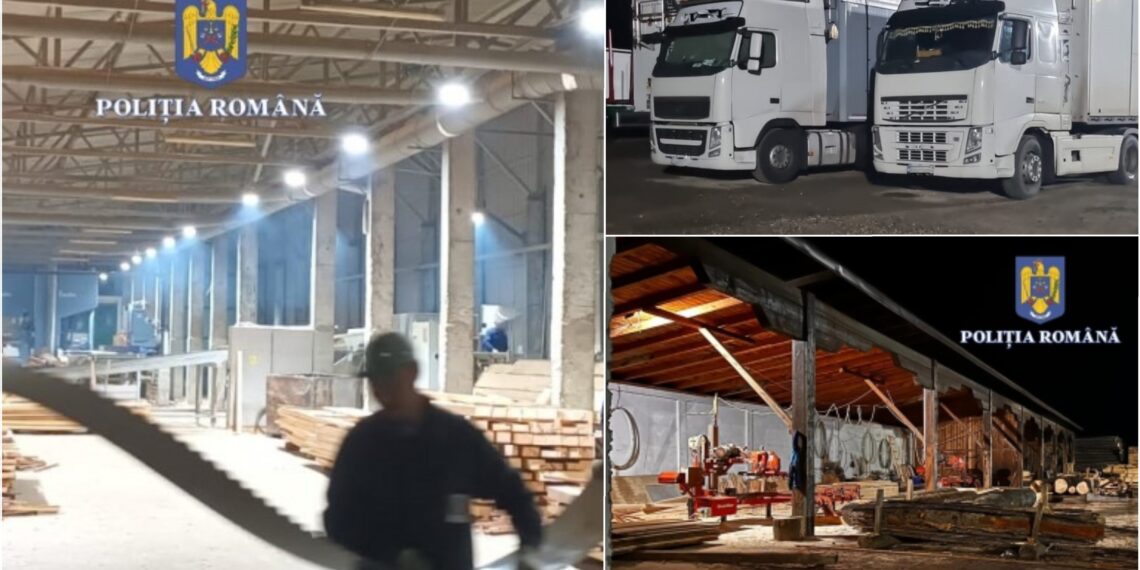 VIDEO. Percheziții în 16 județe din țară, inclusiv în Bihor | Mai multe persoane sunt bănuite de evaziune fiscală, spălare de bani și tăiere ilegală de arbori