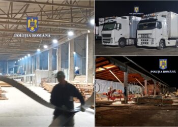 VIDEO. Percheziții în 16 județe din țară, inclusiv în Bihor | Mai multe persoane sunt bănuite de evaziune fiscală, spălare de bani și tăiere ilegală de arbori