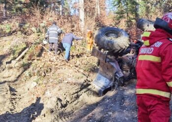 Doi bărbați, găsiți morți într-o pădure de lângă Beiuș, lângă un utilaj forestier răsturnat