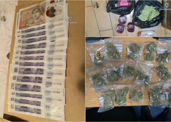 FOTO/VIDEO. Două plantații de canabis, descoperite de polițiști | 25 de persoane suspectate de trafic de droguri de mare risc, reținute