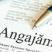 Oferta locurilor de muncă în județul Bihor | 1.034 de slujbe, prin AJOFM (LISTA)