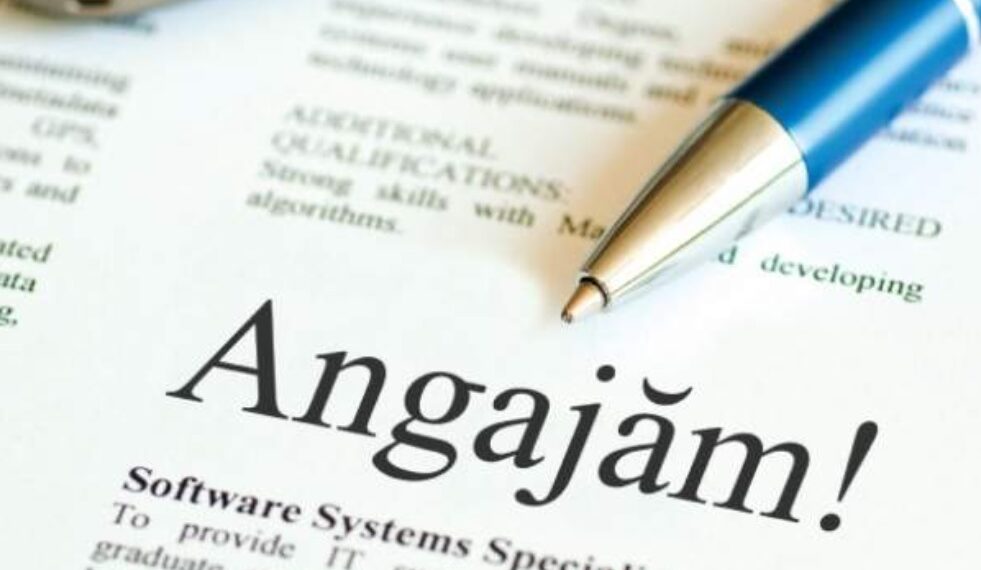 Oferta locurilor de muncă în județul Bihor | 1.034 de slujbe, prin AJOFM (LISTA)