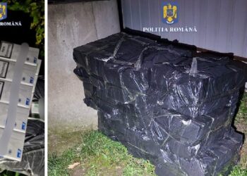 Urmărire pe DN1, lângă Oradea, pentru prinderea unui contrabandist | Suspectul a abandonat mașina pe un câmp și a fugit