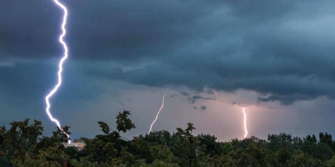 Un bihorean a murit lovit de trăsnet în timp ce culegea ciuperci
