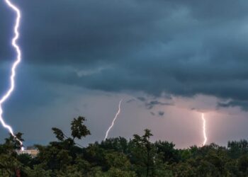 Un bihorean a murit lovit de trăsnet în timp ce culegea ciuperci