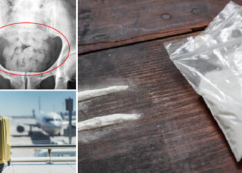 Cărăușii de droguri din Bihor au scăpat de condamnări | Curtea de Apel Oradea a decis încetarea procesului penal, după ce Tribunalul Bihor le-a dat pedepse cu închisoarea