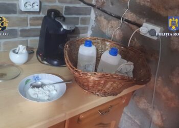 Decizie în cazul laboratorului de extragere a cocainei, descoperit într-o cabană din Bihor | Ce se întâmplă cu Miță, Sisi, Paco și ”prietenii” lor din Israel și Columbia, inculpați în acest dosar