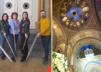 Mica ”extravaganță” a viceprimarului de Oradea, Antonia Nica | Familia sa a adoptat mai multe tuburi ale orgii din Sinagoga Sion