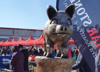 Festivalul ”D’ale porcului”, ediția a IX-a | Programul complet