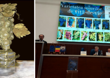 Singura statuie din lume dedicată strugurelui, ridicată la inițiativa oenologului orădean Dorin Popa