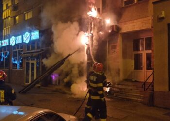 Incendiu la o florărie din Oradea, din cauza unei țigări aruncate într-o pubelă