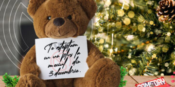 Să plouă cu jucării! | Campanie caritabilă la meciul de baschet CSM Oradea-CSM Focșani. Suporterii vor arunca cu plușuri pe teren