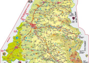 Silviu Dehelean : Bihorul a pierdut populația echivalentă a două orașe în 11 ani