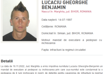 Patru bihoreni, dați în urmărire națională pentru infracțiuni rutiere | Au fost condamnați la închisoare după ce au condus băuți sau fără permis