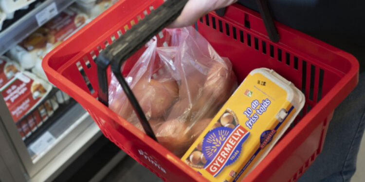 Retailerii din Ungaria raționalizează laptele și cartofii. Poți lua un kg de cartofi și un litru de lapte