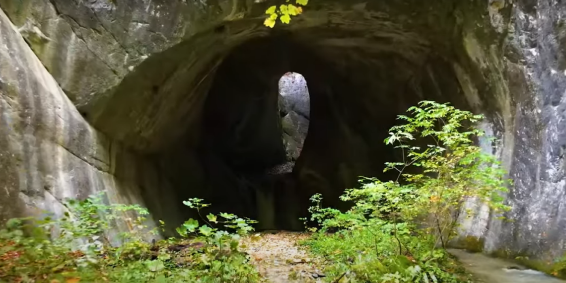 VIDEO.E parte a celei mai mari rețele de arii protejate de pe glob. Au lansat filmul despre Parcul Natural Apuseni