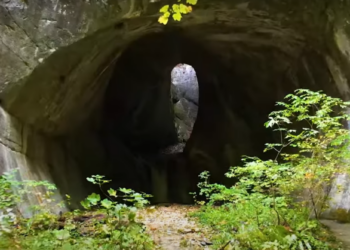 VIDEO.E parte a celei mai mari rețele de arii protejate de pe glob. Au lansat filmul despre Parcul Natural Apuseni