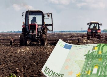 Fermier din Bihor, condamnat la 3 ani de închisoare cu suspendare | DNA a descoperit că, vreme de 8 ani, ar fi depus documente false prin care a obținut 320.000 de lei, fonduri nerambursabile