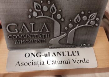 Asociația care a înființat singura piață volantă din Oradea, Cătunul Verde, ONG-ul anului 2022. De la ajutoare pentru cei afectați de război, la primul festival de povești