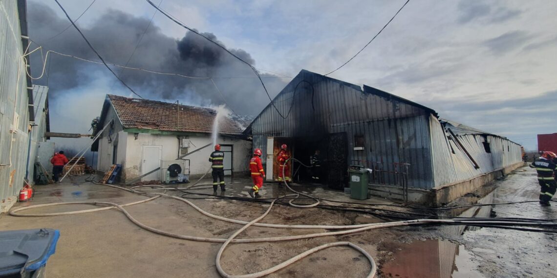 VIDEO. Incendiu în ultima zi din an, lângă Oradea | Ard două hale de depozitare la Santăul Mic